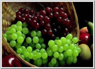 蔬菜保鮮技巧與植物提取物研發(fā)的前沿應(yīng)用